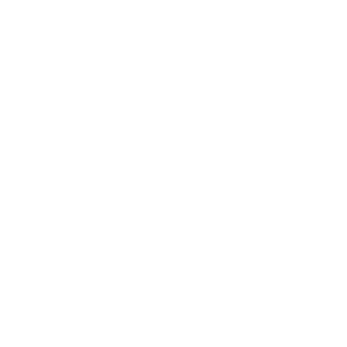 Blue Pearl Camps - Outdoor Education in Doha, Qatar